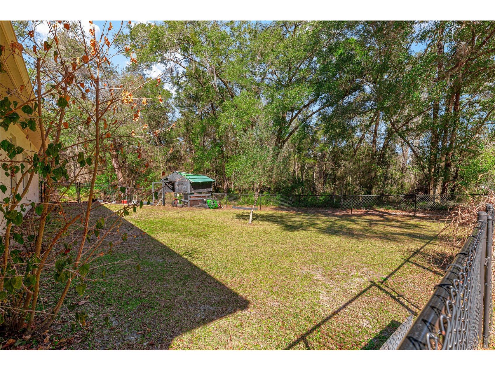 10100 N Wayland Avenue Citrus Springs FL 34434 OM718076 image36