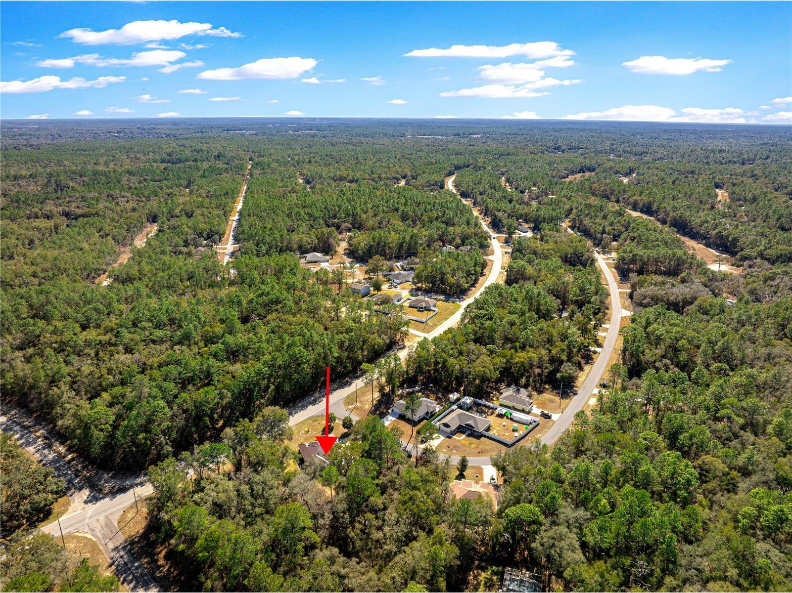 10100 N Wayland Avenue Citrus Springs FL 34434 OM718076 image50