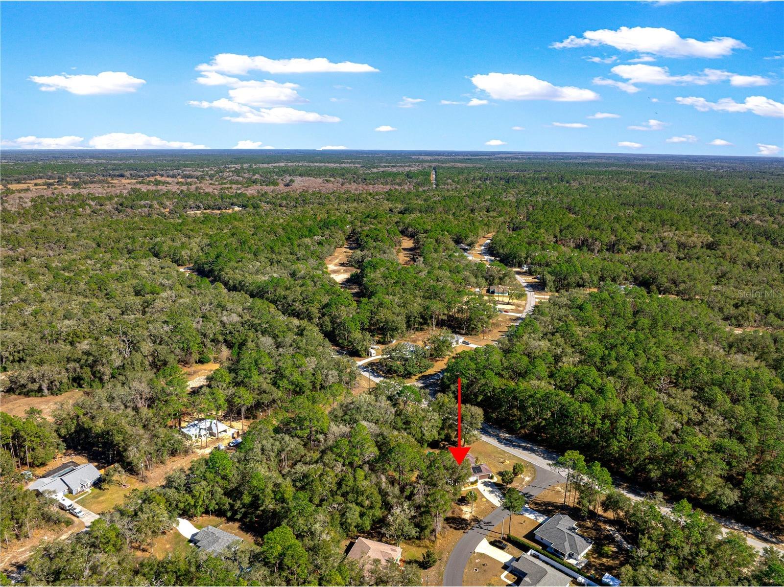 10100 N Wayland Avenue Citrus Springs FL 34434 OM718076 image51