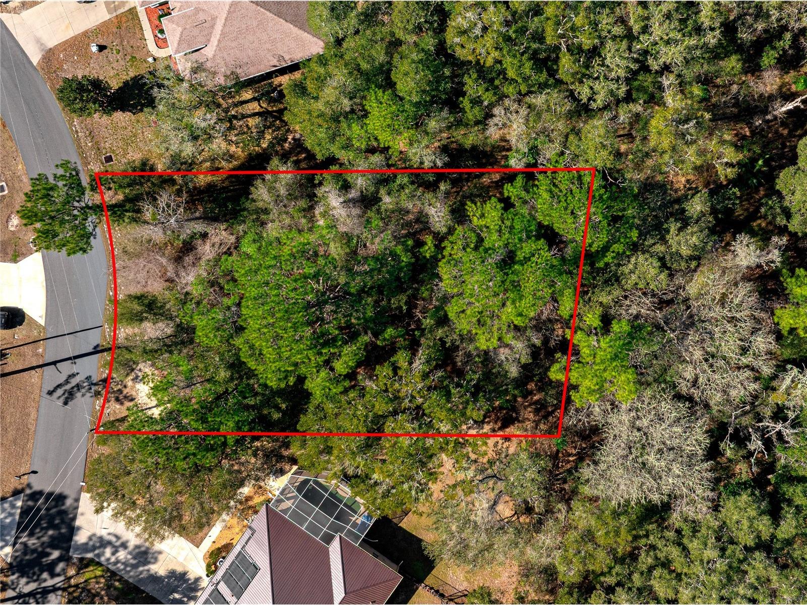 10100 N Wayland Avenue Citrus Springs FL 34434 OM718076 image54