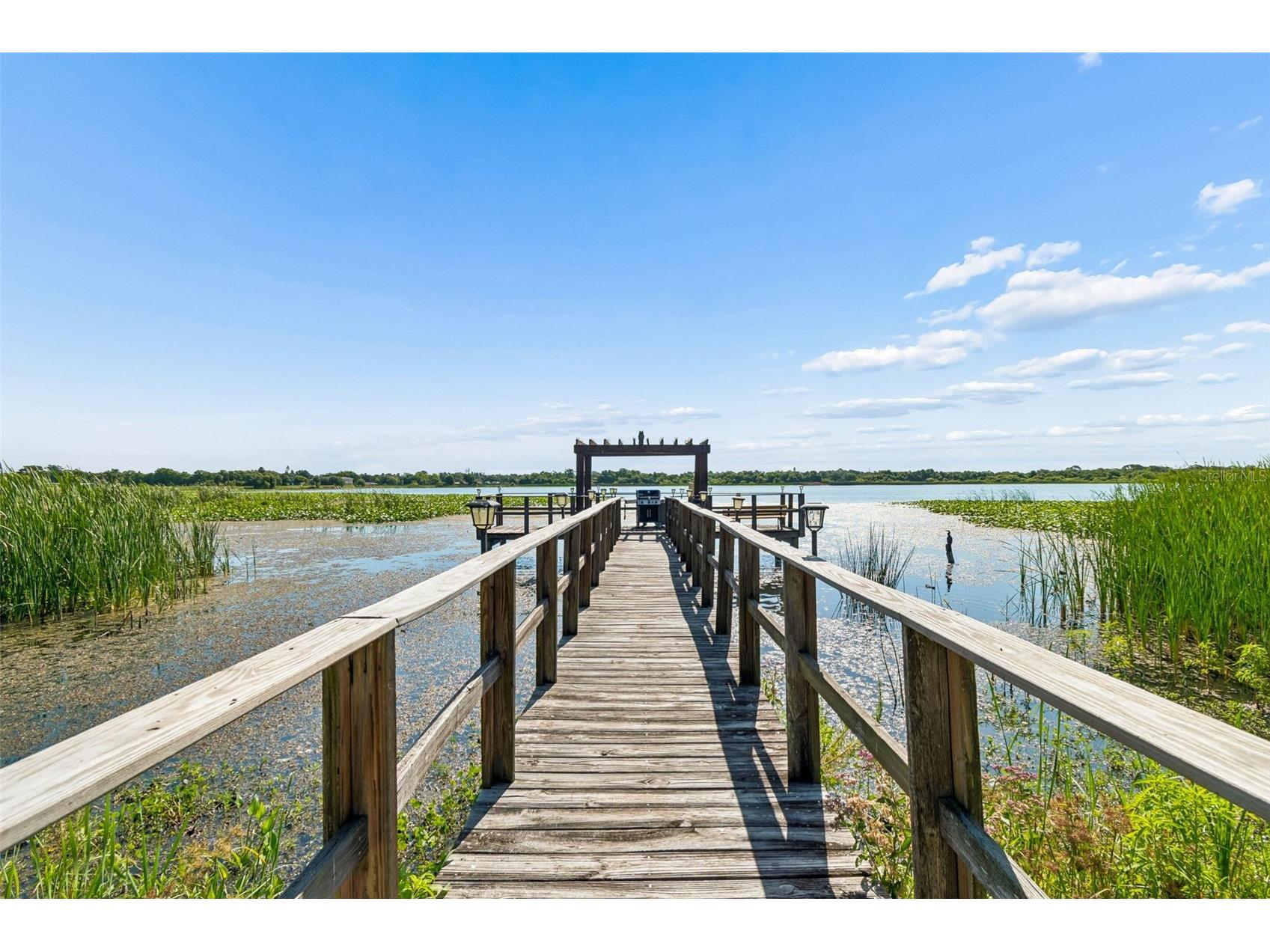 10100 Sailwinds Boulevard N #202 Largo FL 33773 TB8524082 image12