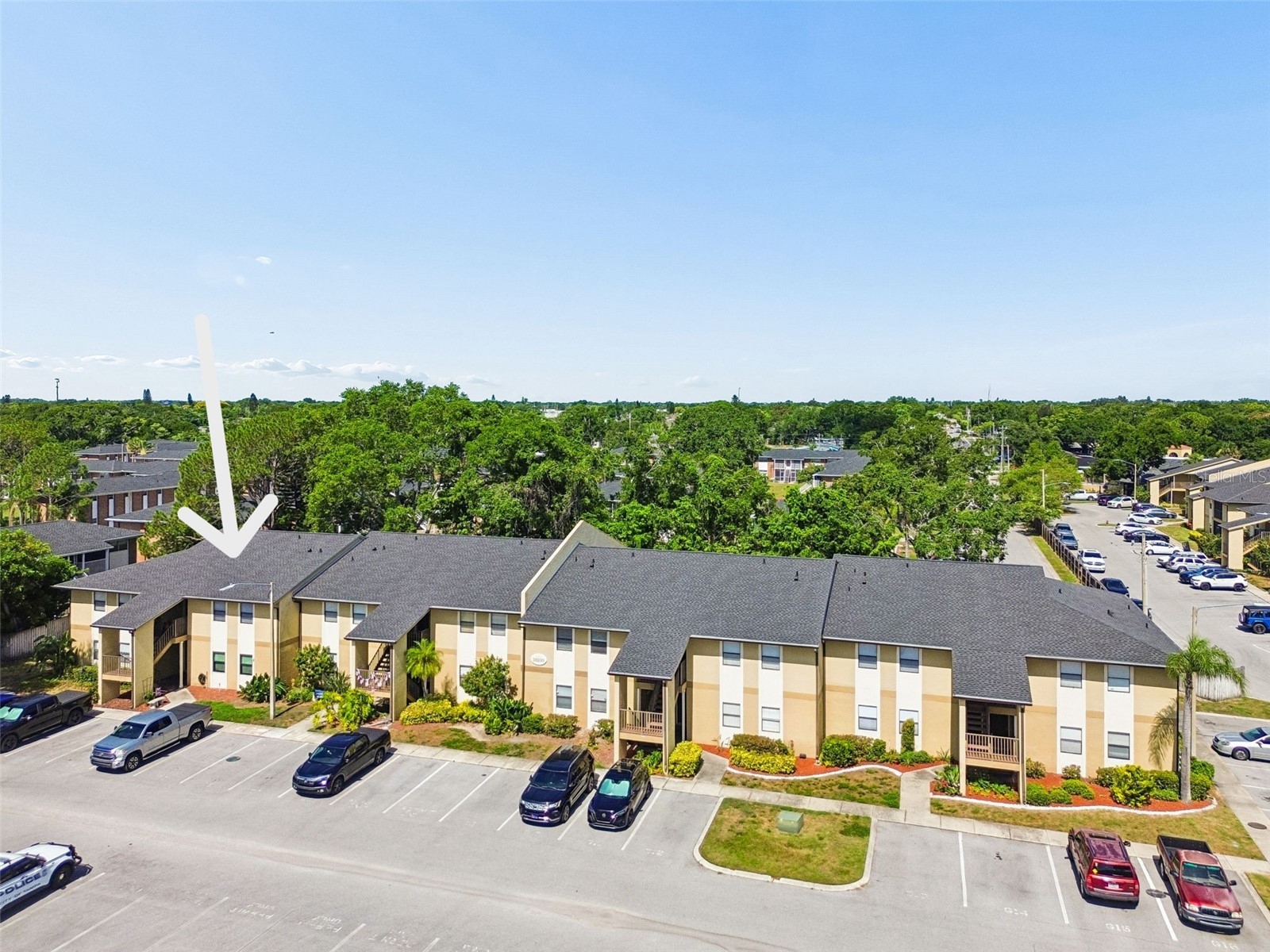 10100 Sailwinds Boulevard N #202 Largo FL 33773 TB8524082 image36