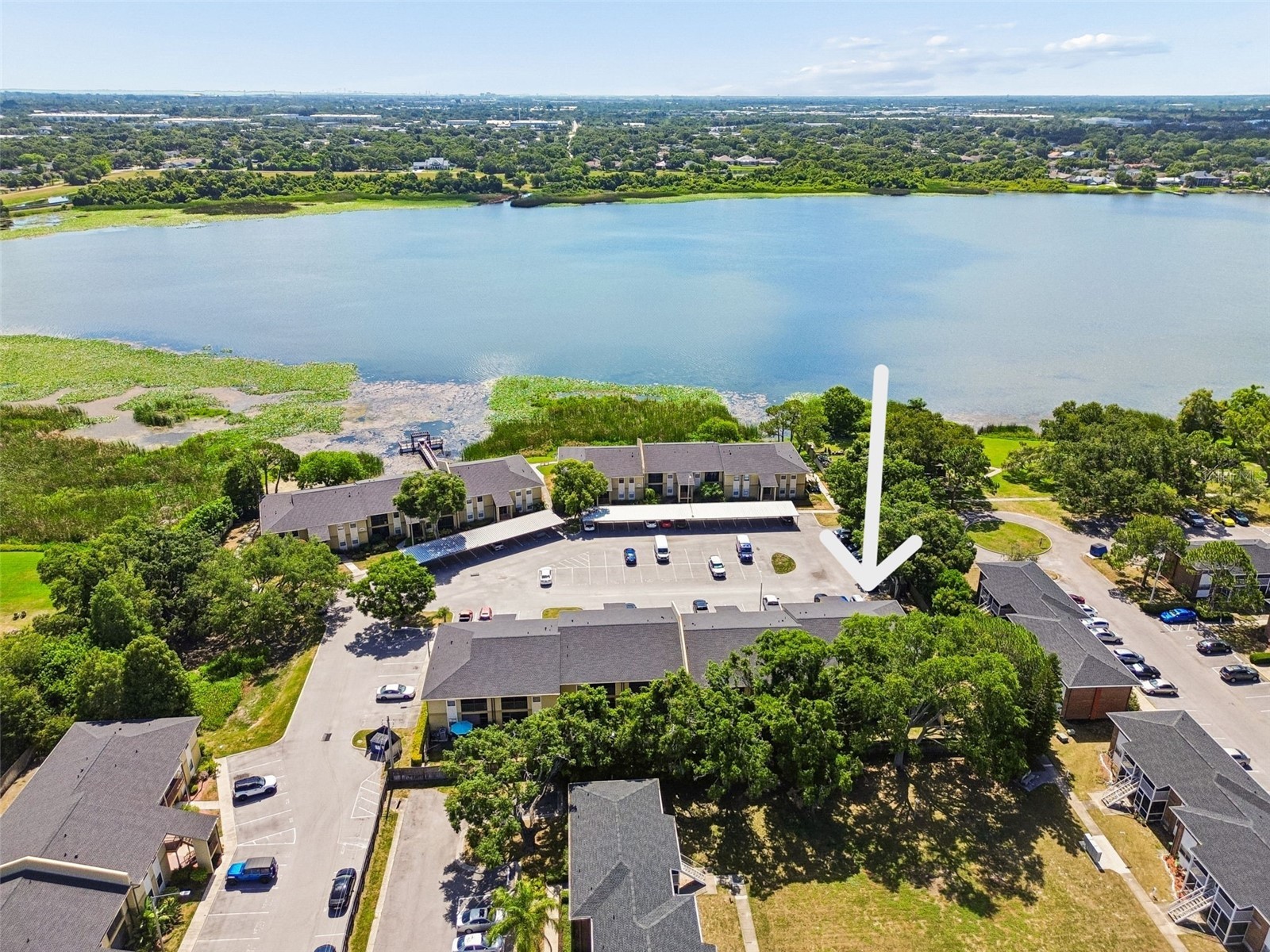 10100 Sailwinds Boulevard N #202 Largo FL 33773 TB8524082 image37