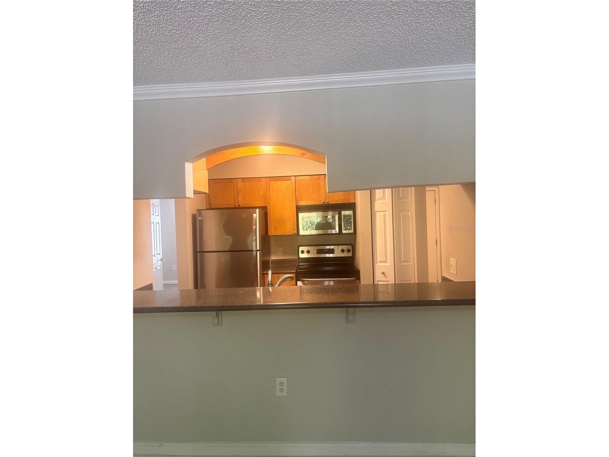 10100 Sailwinds Boulevard N #206 Largo FL 33773 - LAKE SEMINOLE TB8507133 image3