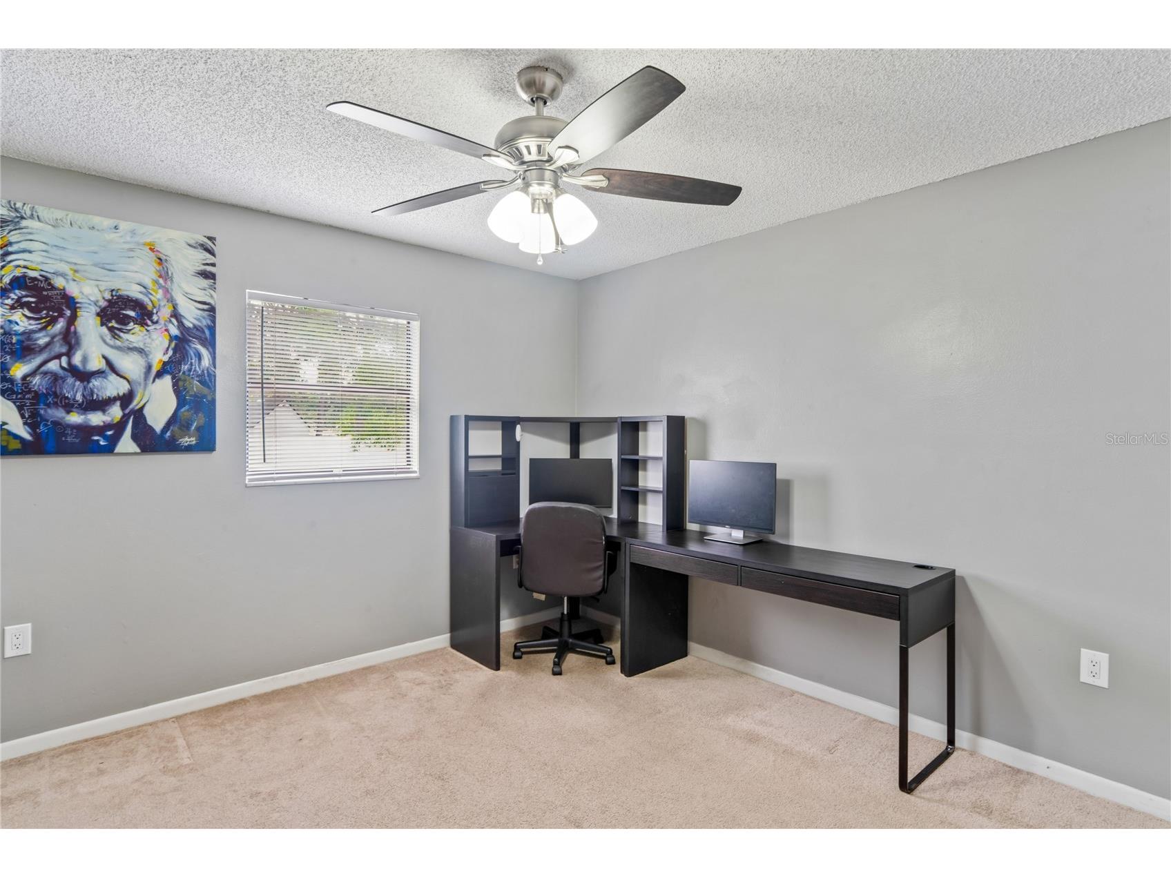10100 Vancouver Road Spring Hill FL 34608 W7885649 image34