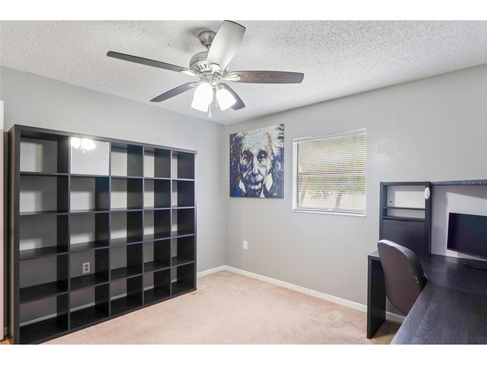 10100 Vancouver Road Spring Hill FL 34608 W7885649 image37