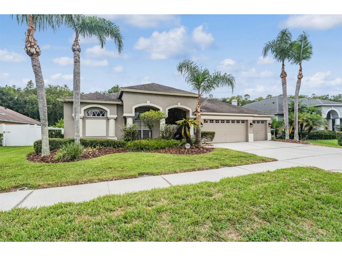 10101 Kingshyre Way Tampa FL 33647 T3465108 image1