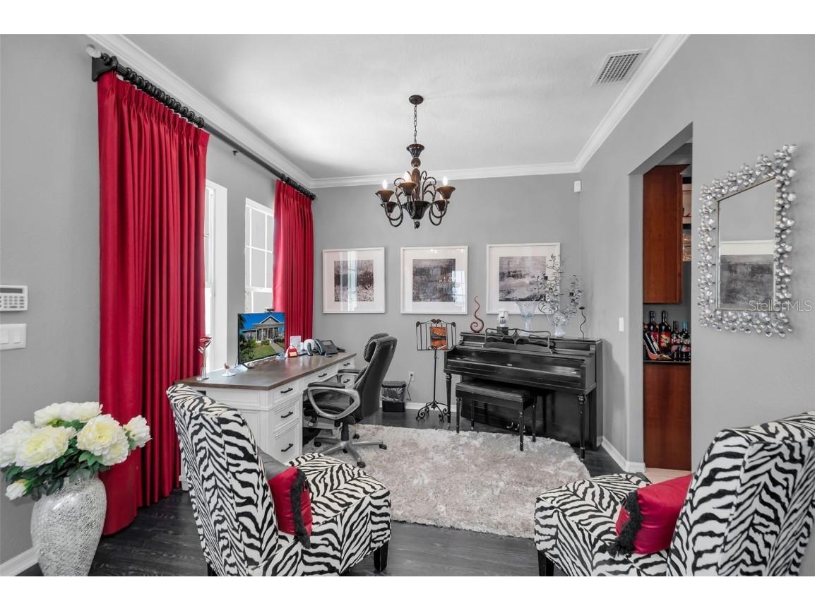 10101 Mizner Street New Port Richey FL 34655 W7881038 image11