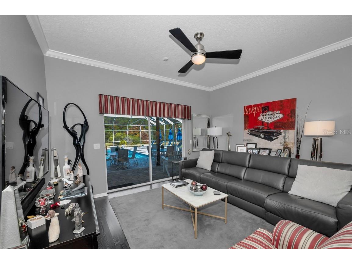 10101 Mizner Street New Port Richey FL 34655 W7881038 image13