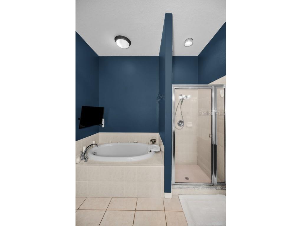 10101 Mizner Street New Port Richey FL 34655 W7881038 image16