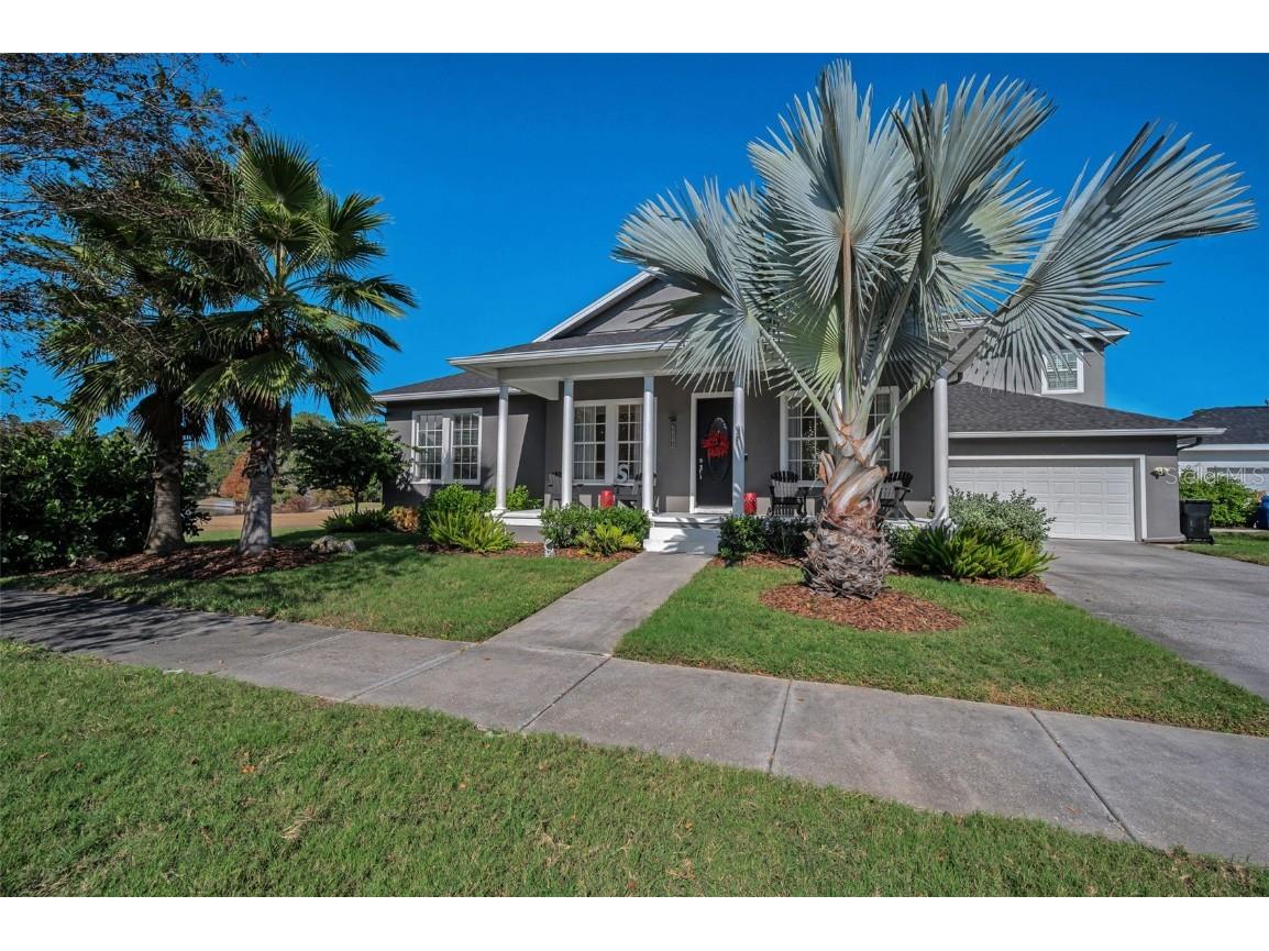 10101 Mizner Street New Port Richey FL 34655 W7881038 image2