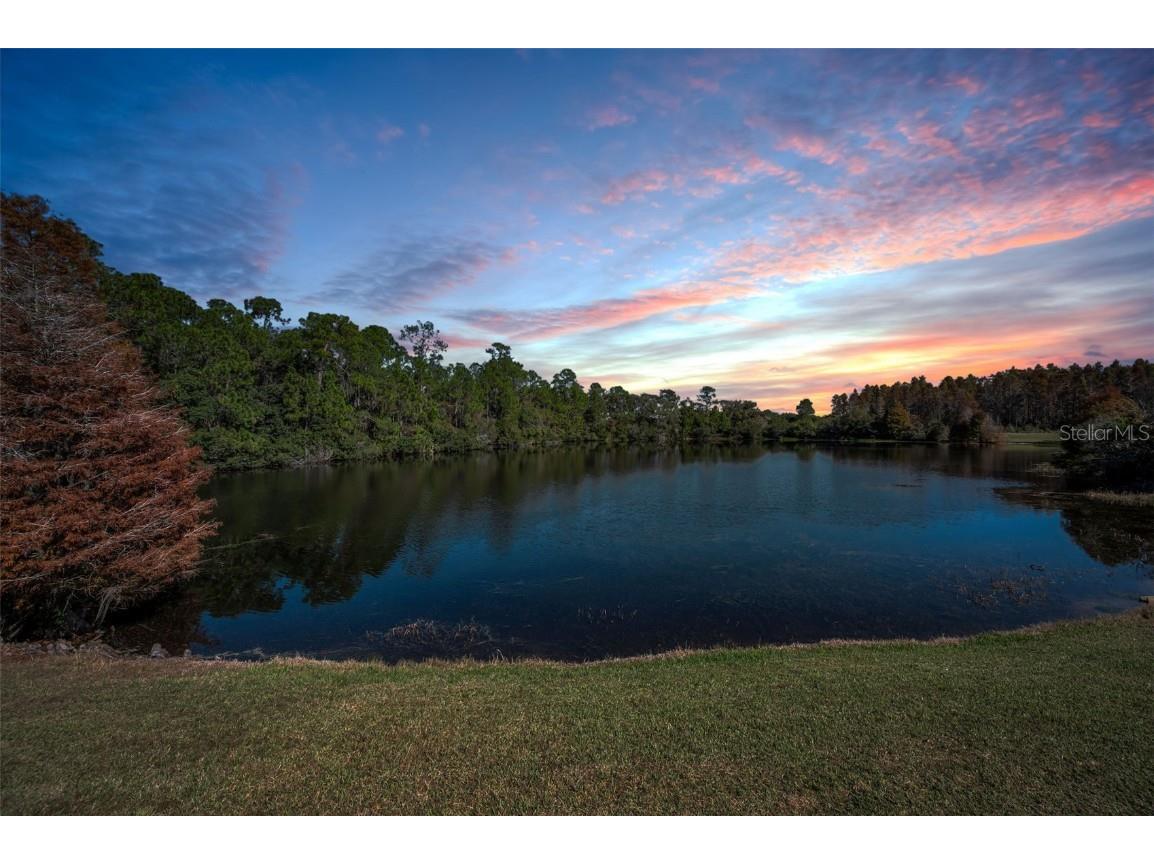 10101 Mizner Street New Port Richey FL 34655 W7881038 image25