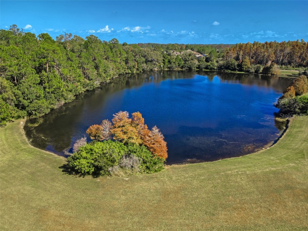 10101 Mizner Street New Port Richey FL 34655 W7881038 image26