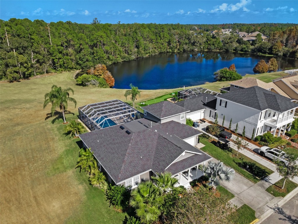 10101 Mizner Street New Port Richey FL 34655 W7881038 image28