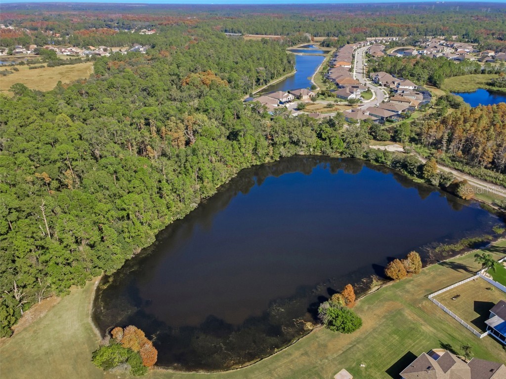 10101 Mizner Street New Port Richey FL 34655 W7881038 image29