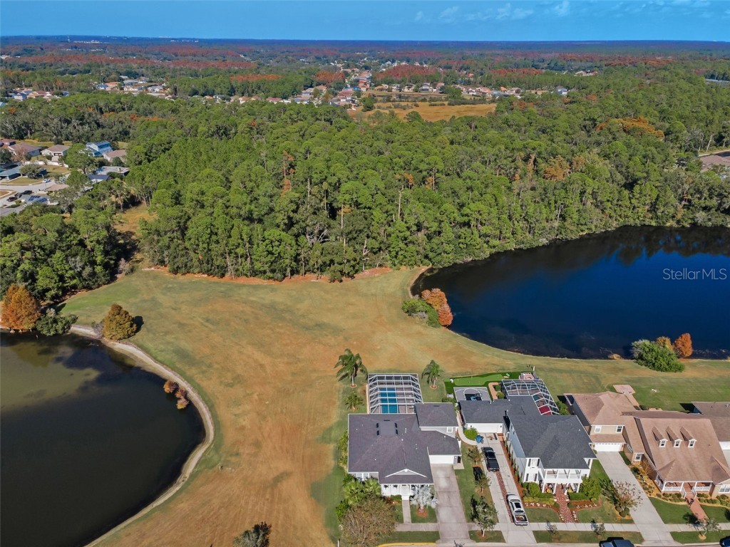 10101 Mizner Street New Port Richey FL 34655 W7881038 image33