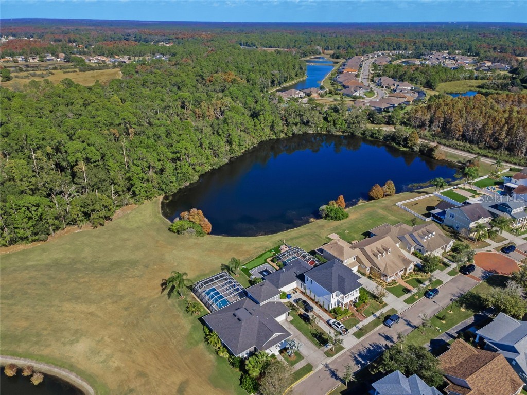 10101 Mizner Street New Port Richey FL 34655 W7881038 image37