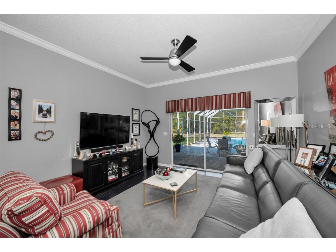 10101 Mizner Street New Port Richey FL 34655 W7881038 image40