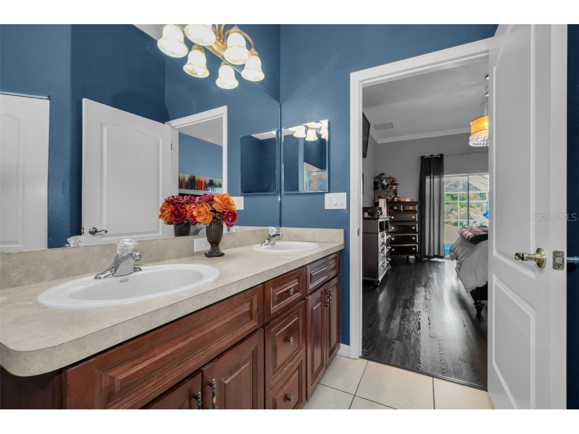 10101 Mizner Street New Port Richey FL 34655 W7881038 image41