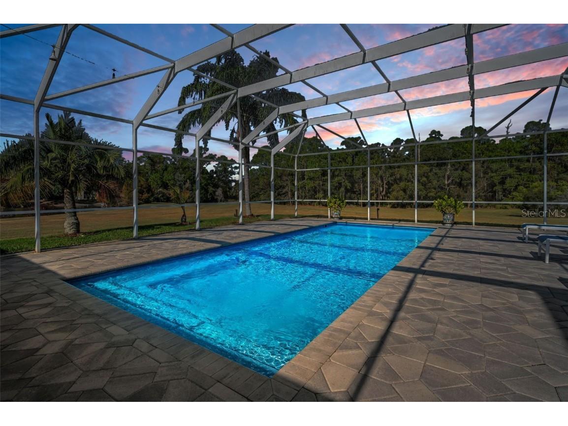 10101 Mizner Street New Port Richey FL 34655 W7881038 image5