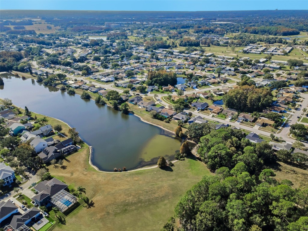 10101 Mizner Street New Port Richey FL 34655 W7881038 image55