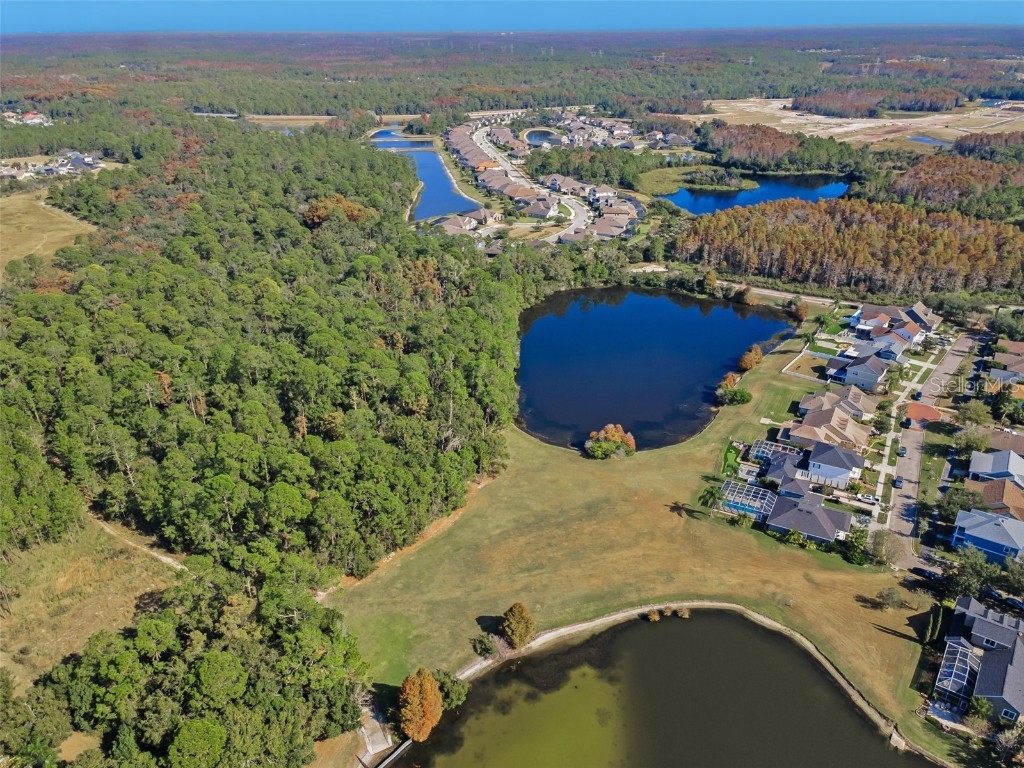 10101 Mizner Street New Port Richey FL 34655 W7881038 image57