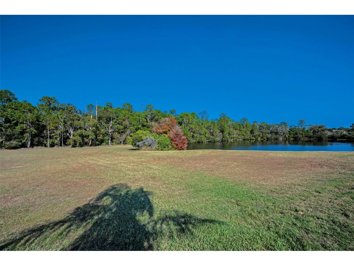 10101 Mizner Street New Port Richey FL 34655 W7881038 image61