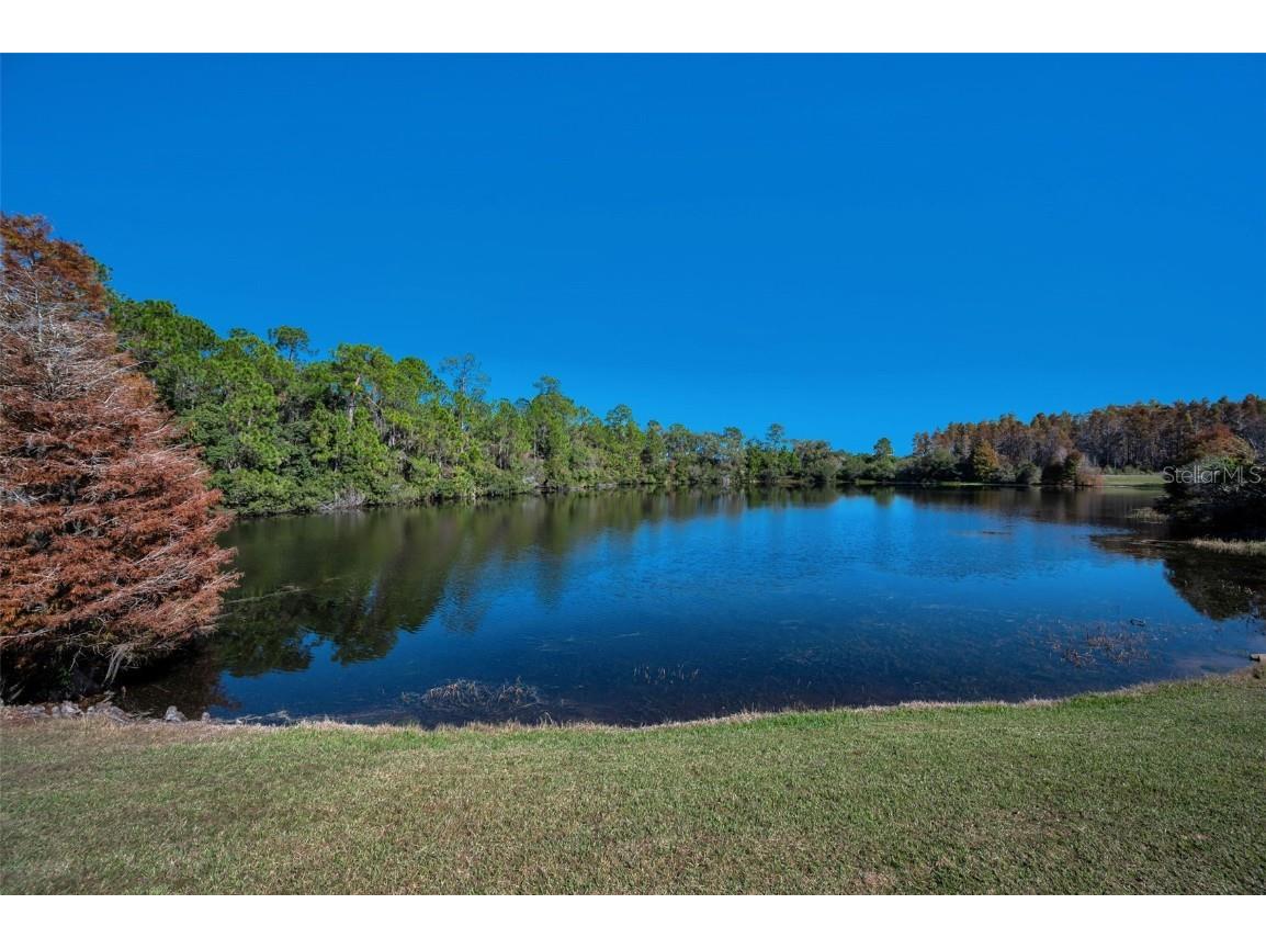 10101 Mizner Street New Port Richey FL 34655 W7881038 image62