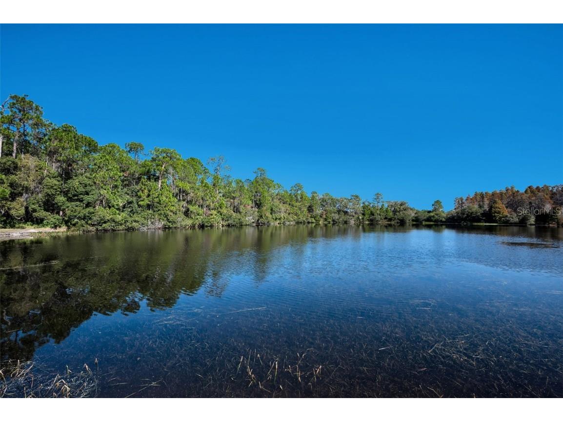 10101 Mizner Street New Port Richey FL 34655 W7881038 image63