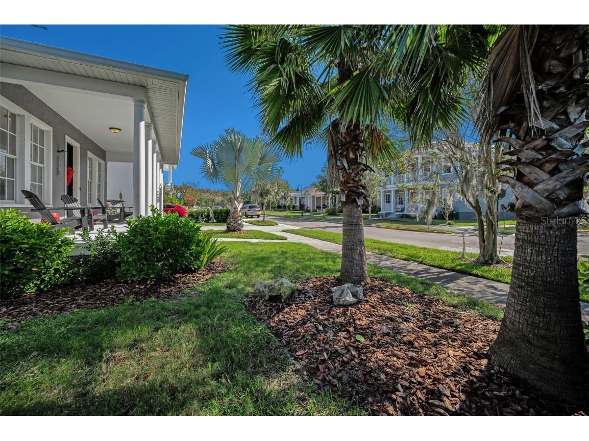 10101 Mizner Street New Port Richey FL 34655 W7881038 image64