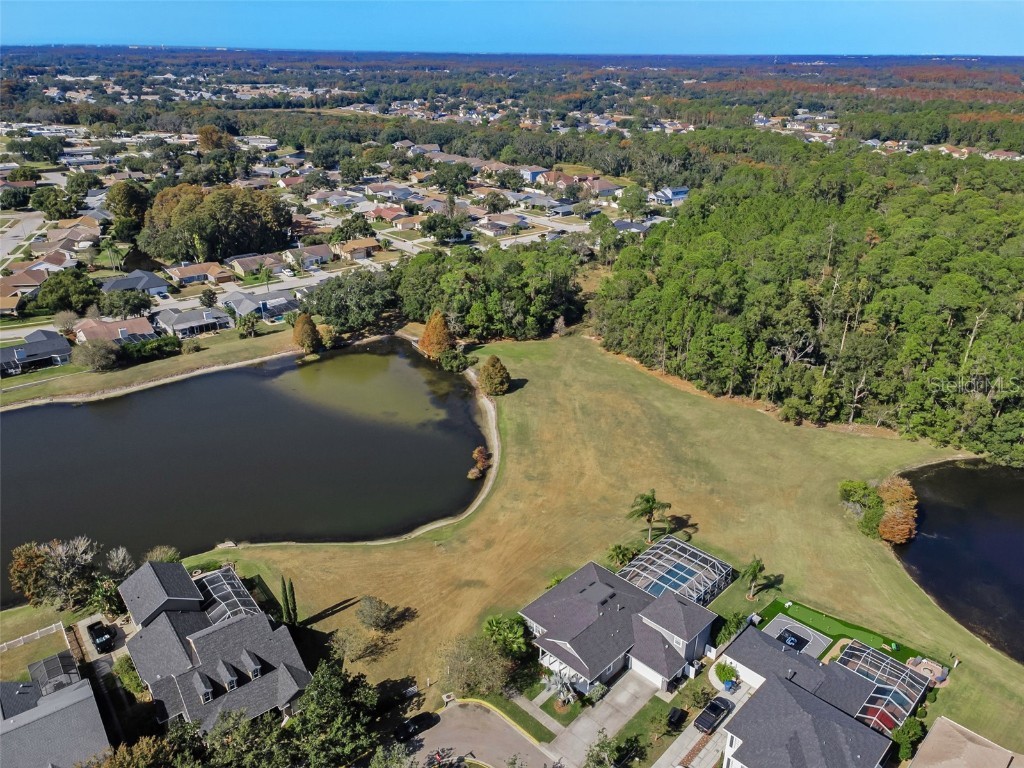 10101 Mizner Street New Port Richey FL 34655 W7881038 image65