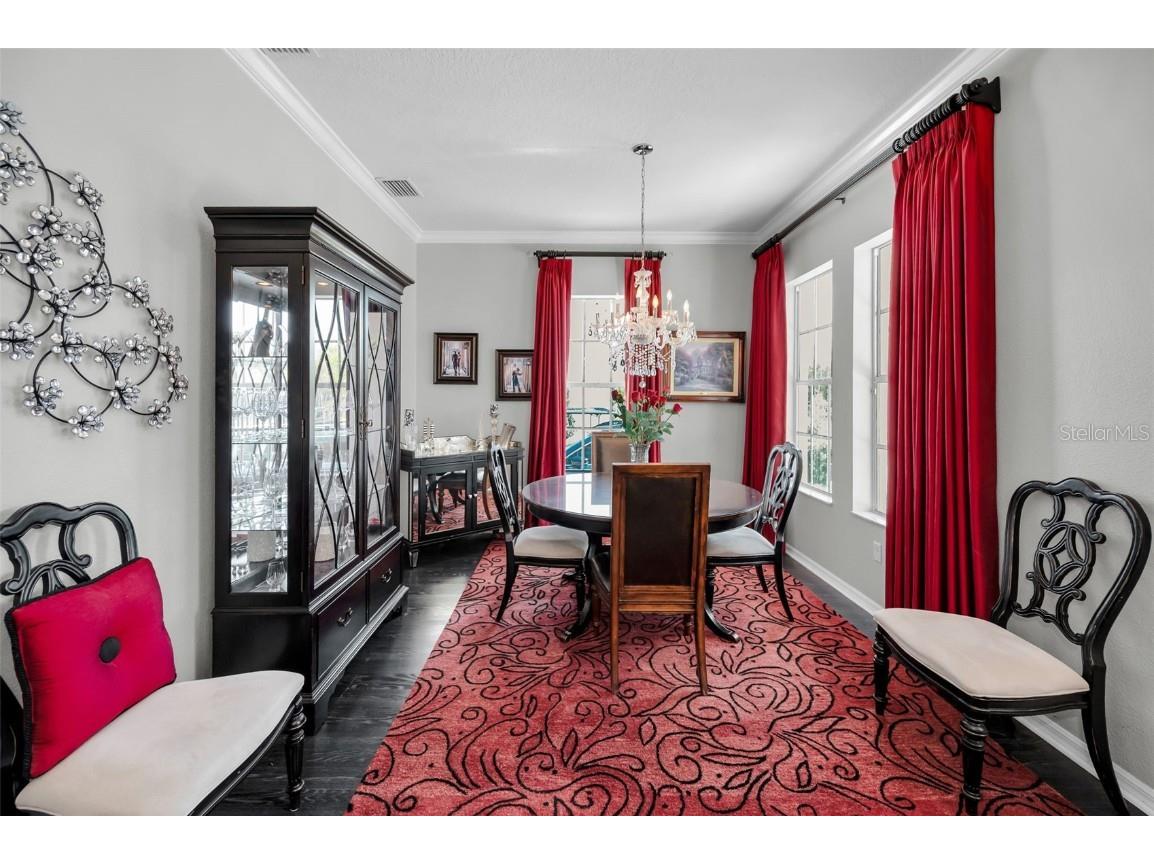 10101 Mizner Street New Port Richey FL 34655 W7881038 image9