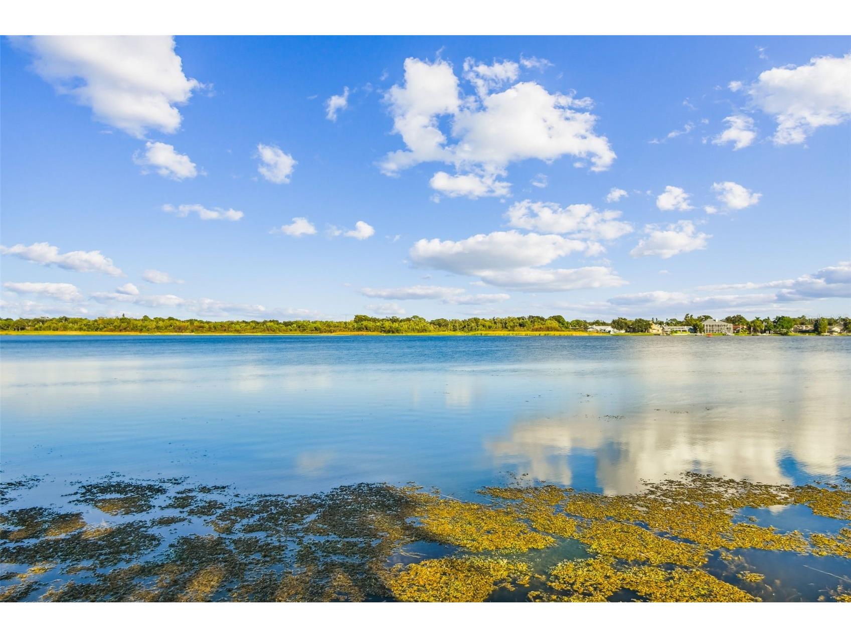 10101 Sailwinds Boulevard S #203 Largo FL 33773 - LAKE SEMINOLE TB8479192 image38