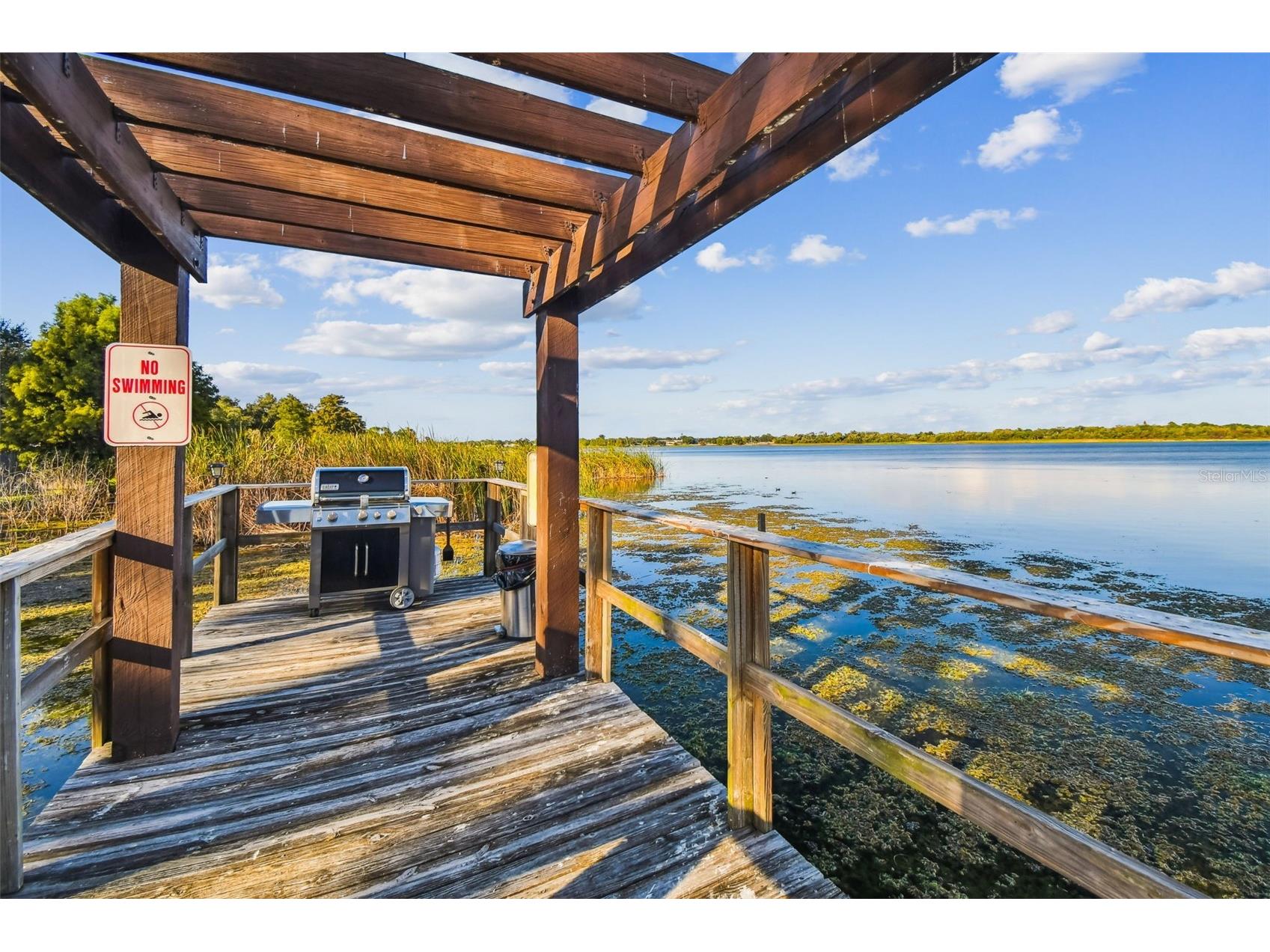 10101 Sailwinds Boulevard S #203 Largo FL 33773 - LAKE SEMINOLE TB8479192 image39