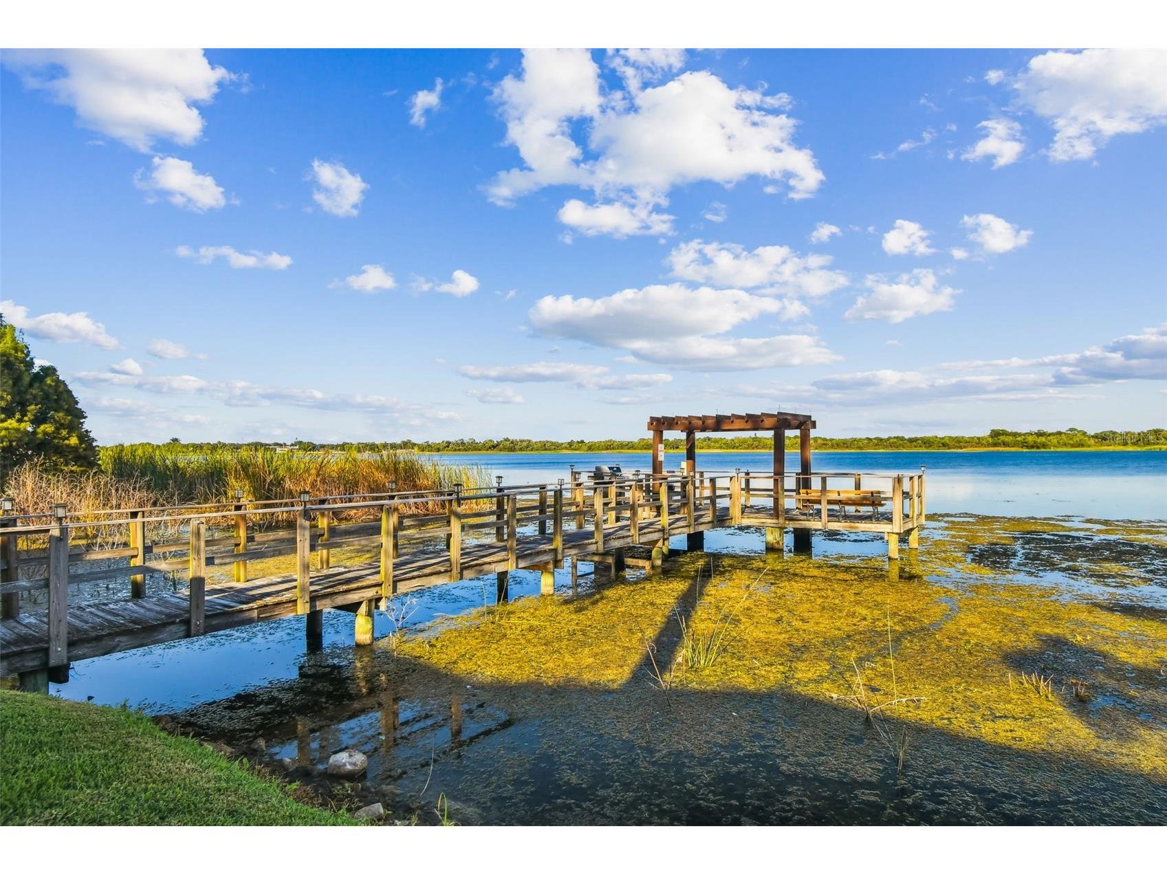 10101 Sailwinds Boulevard S #203 Largo FL 33773 - LAKE SEMINOLE TB8479192 image40