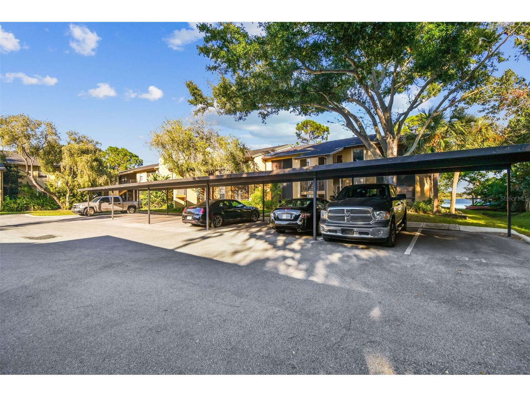 10101 Sailwinds Boulevard S #203 Largo FL 33773 - LAKE SEMINOLE TB8479192 image42