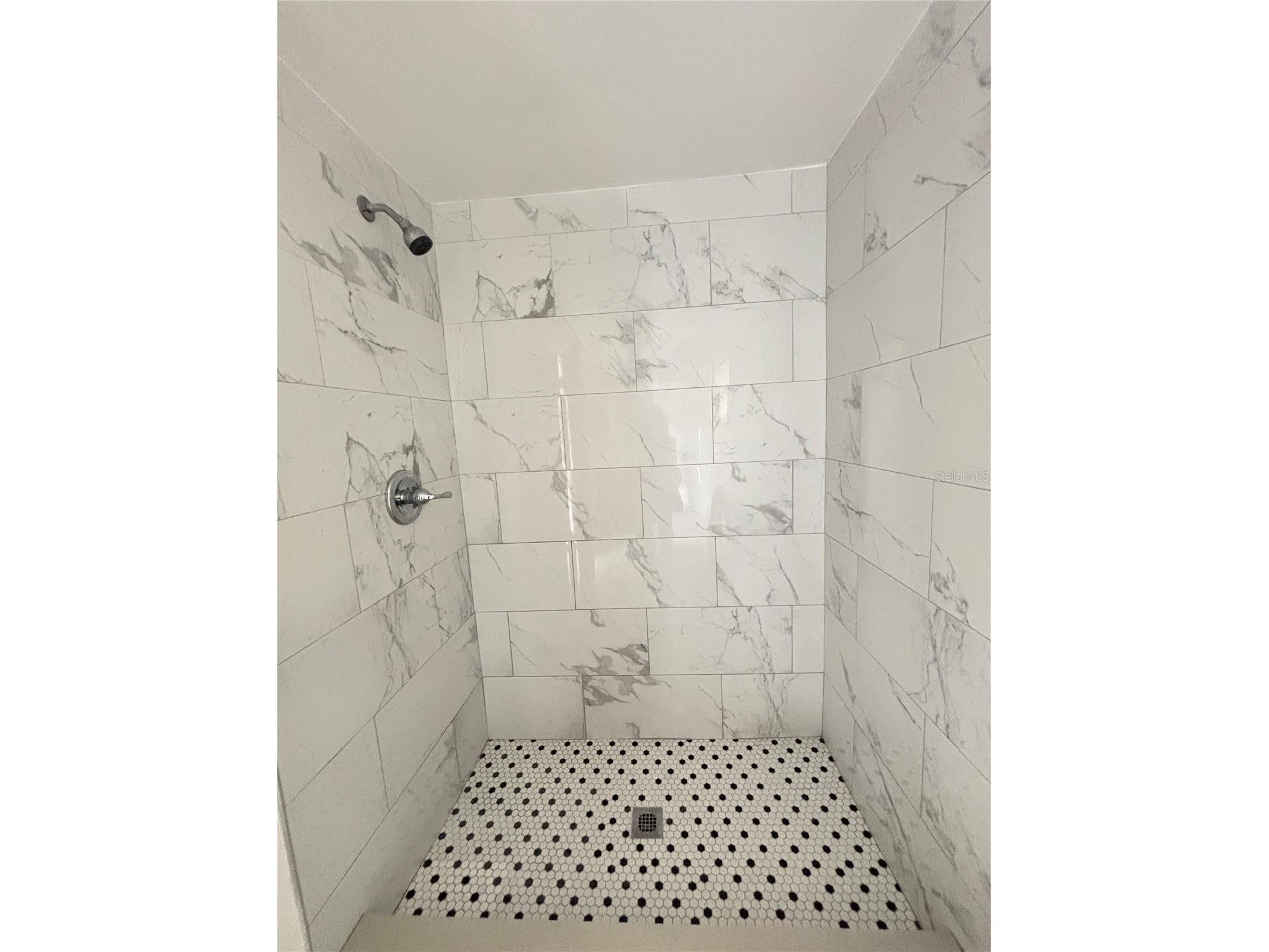 10101 Springtree Court Tampa FL 33615 A4674458 image21