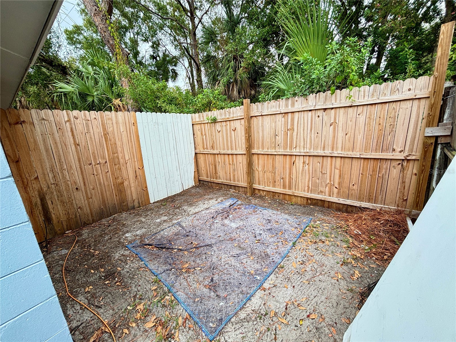 10101 Springtree Court Tampa FL 33615 A4674458 image28