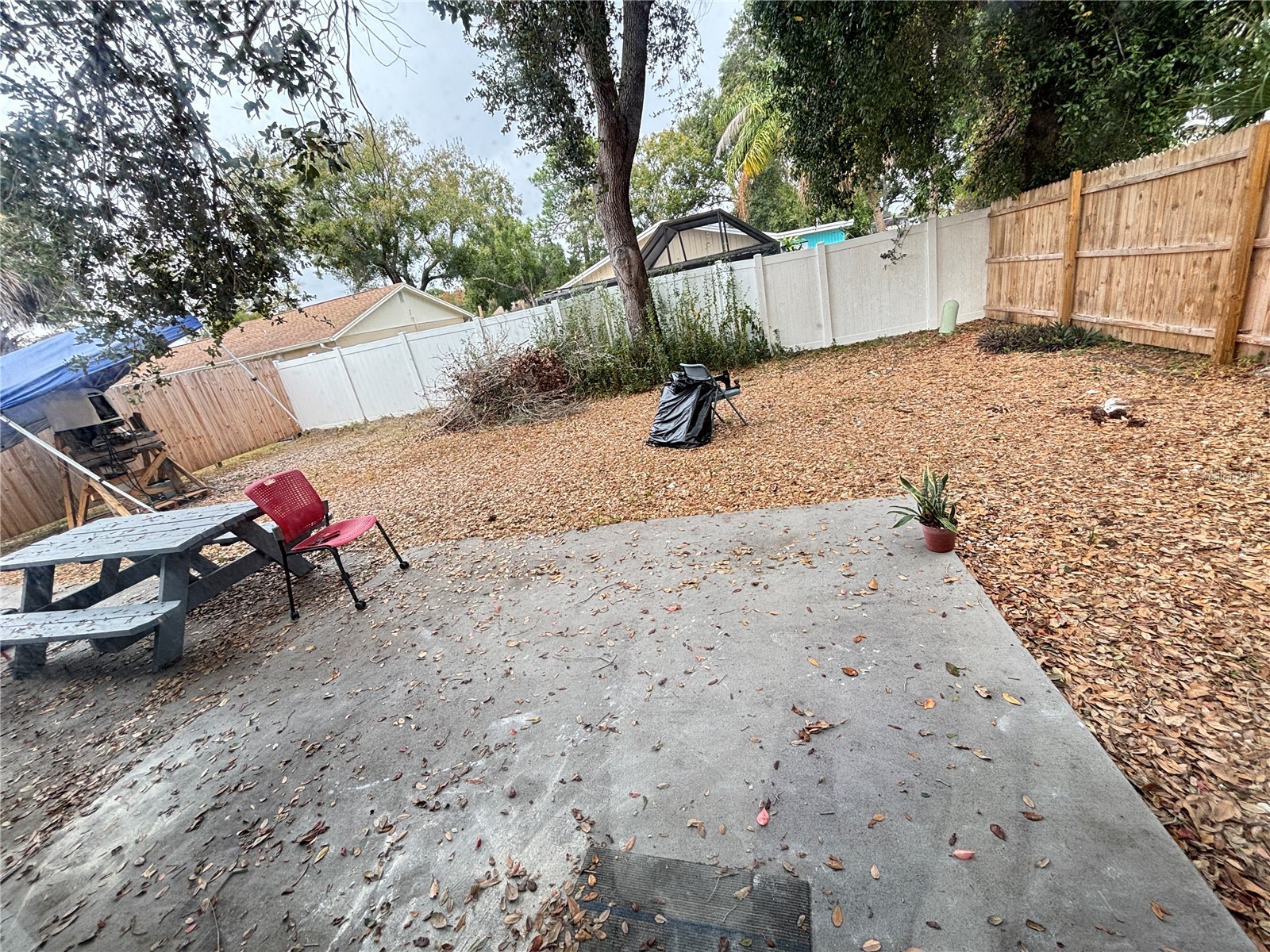 10101 Springtree Court Tampa FL 33615 A4674458 image29