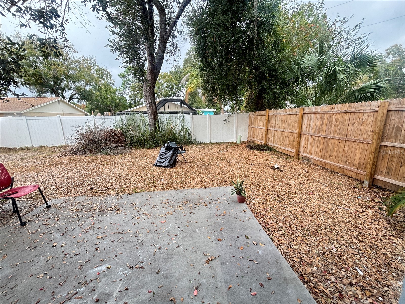 10101 Springtree Court Tampa FL 33615 A4674458 image30