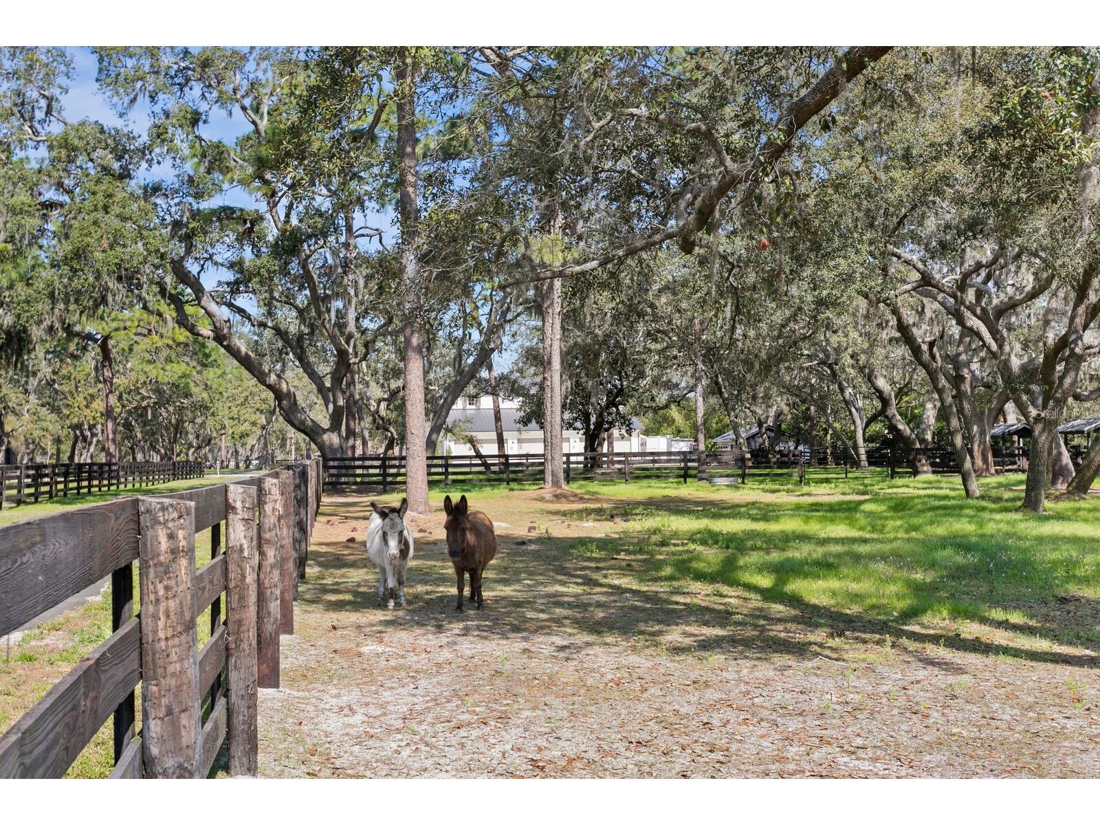 10101 Tarpon Springs Road Odessa FL 33556 TB8480407 image19