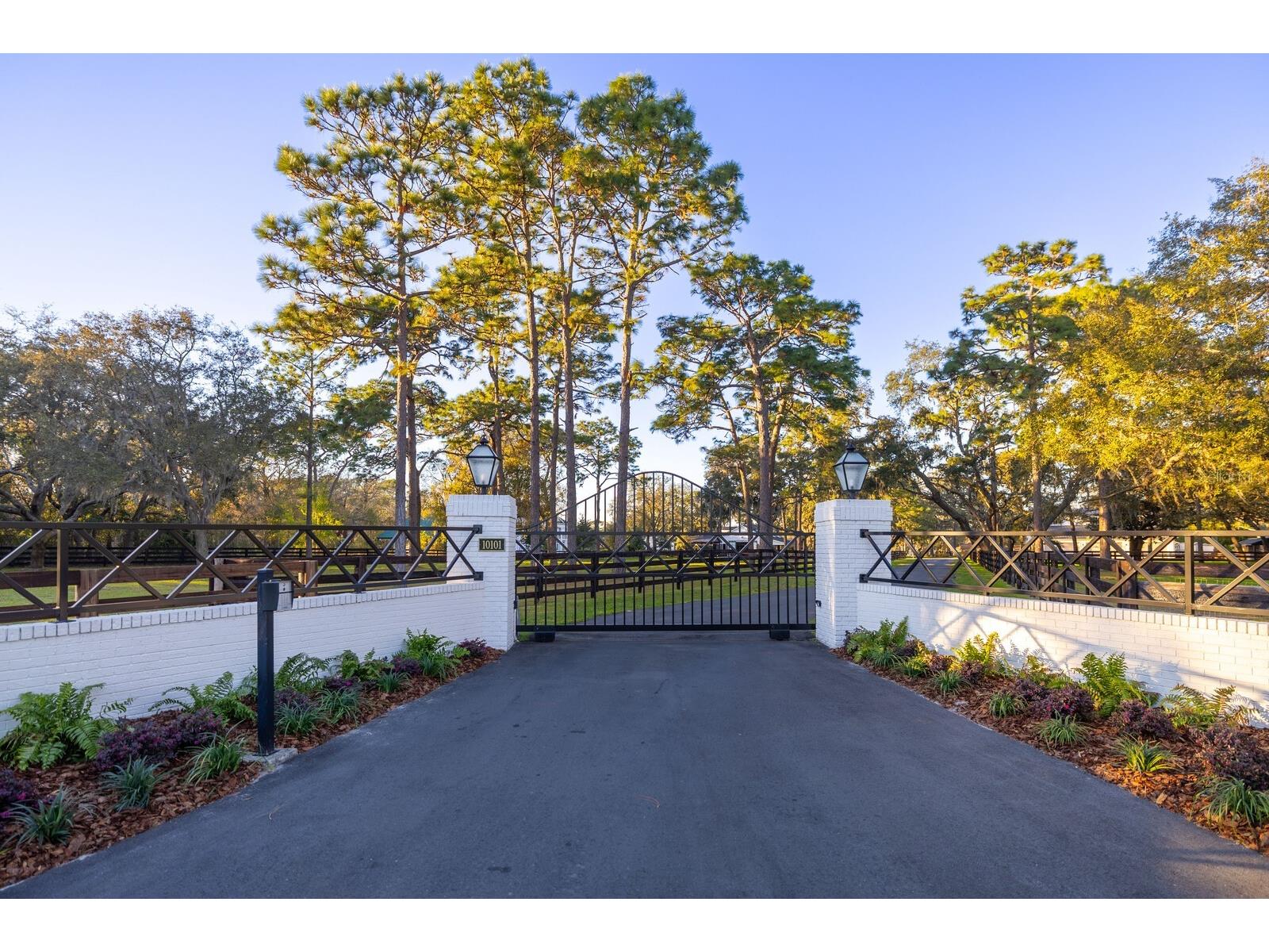 10101 Tarpon Springs Road Odessa FL 33556 TB8480407 image2