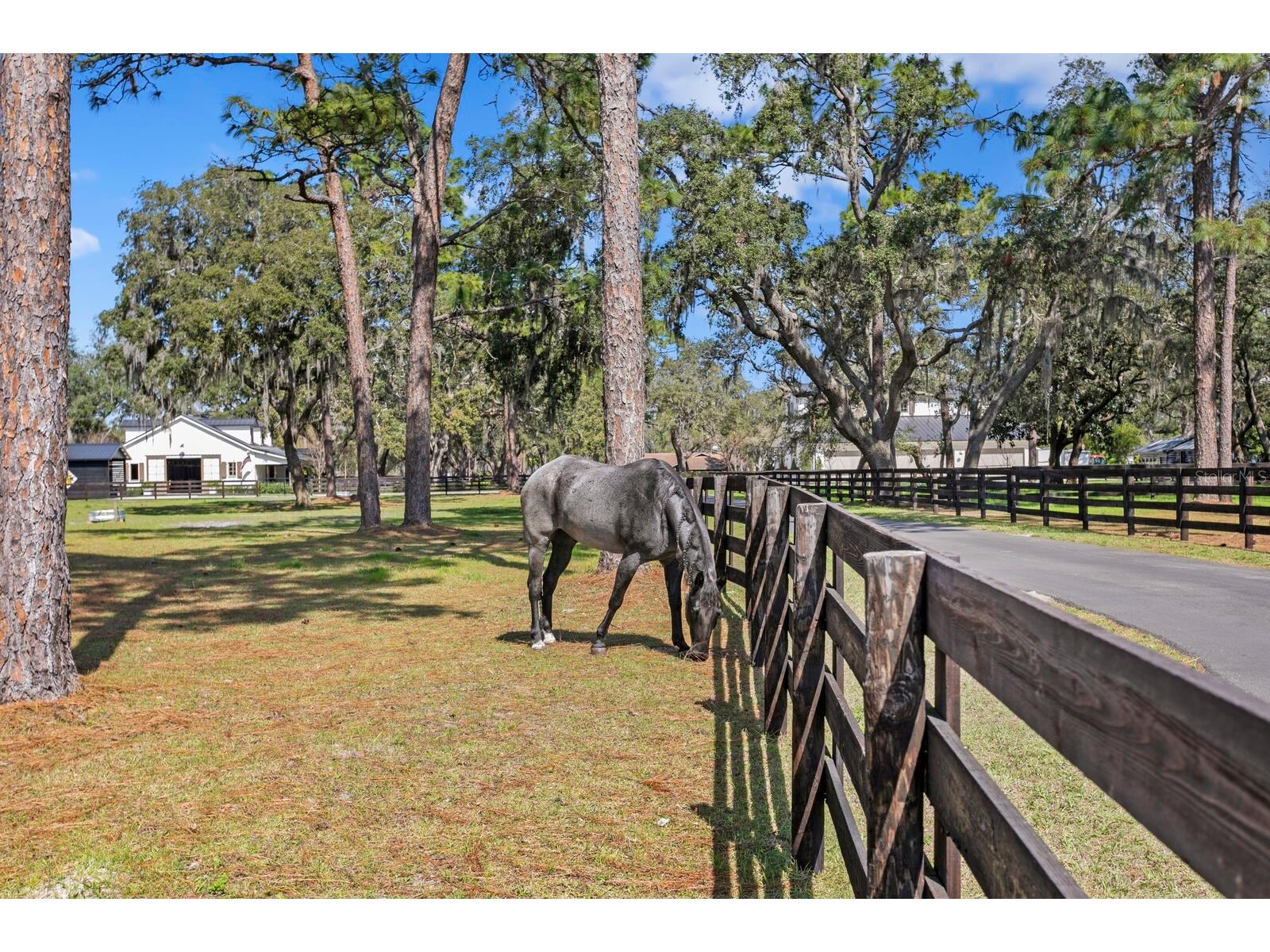 10101 Tarpon Springs Road Odessa FL 33556 TB8480407 image20