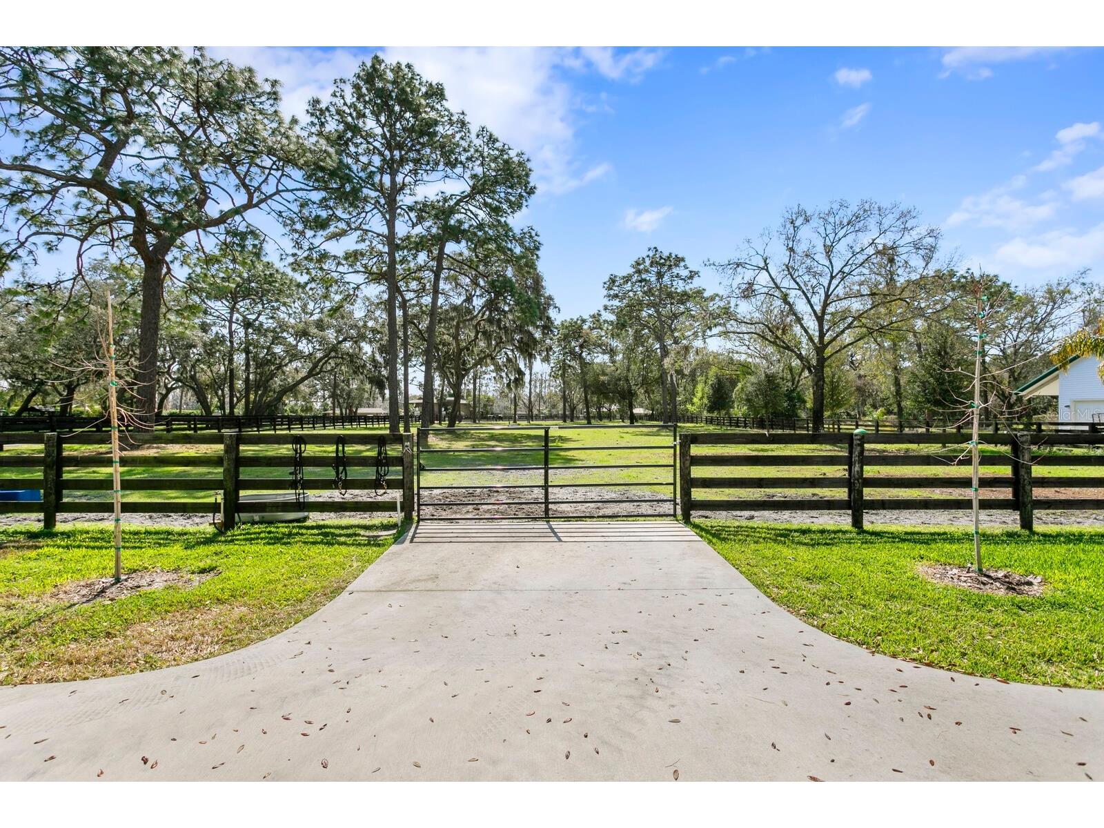 10101 Tarpon Springs Road Odessa FL 33556 TB8480407 image21