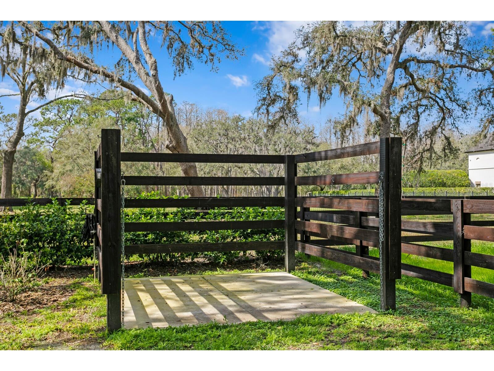 10101 Tarpon Springs Road Odessa FL 33556 TB8480407 image23