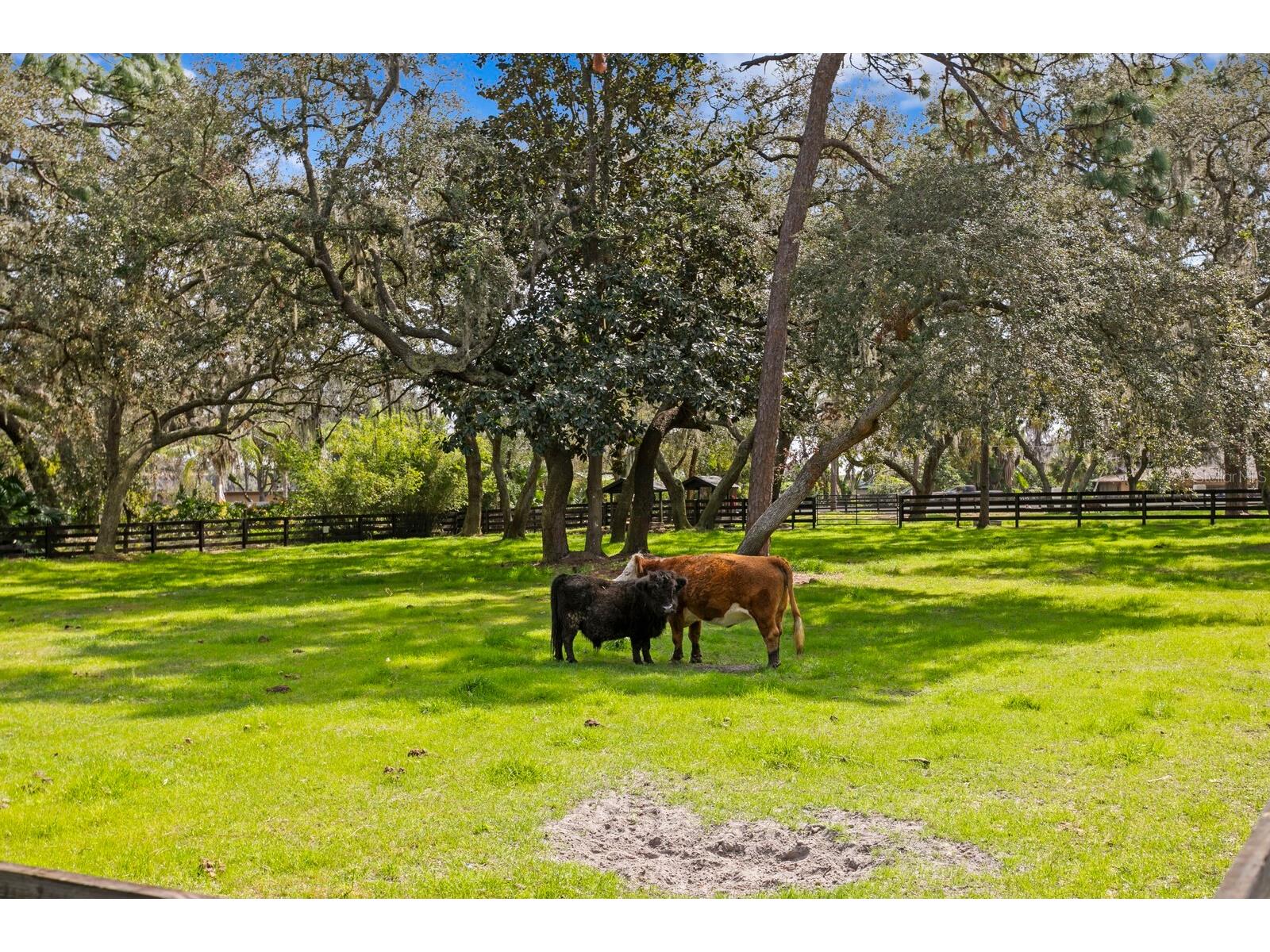 10101 Tarpon Springs Road Odessa FL 33556 TB8480407 image27