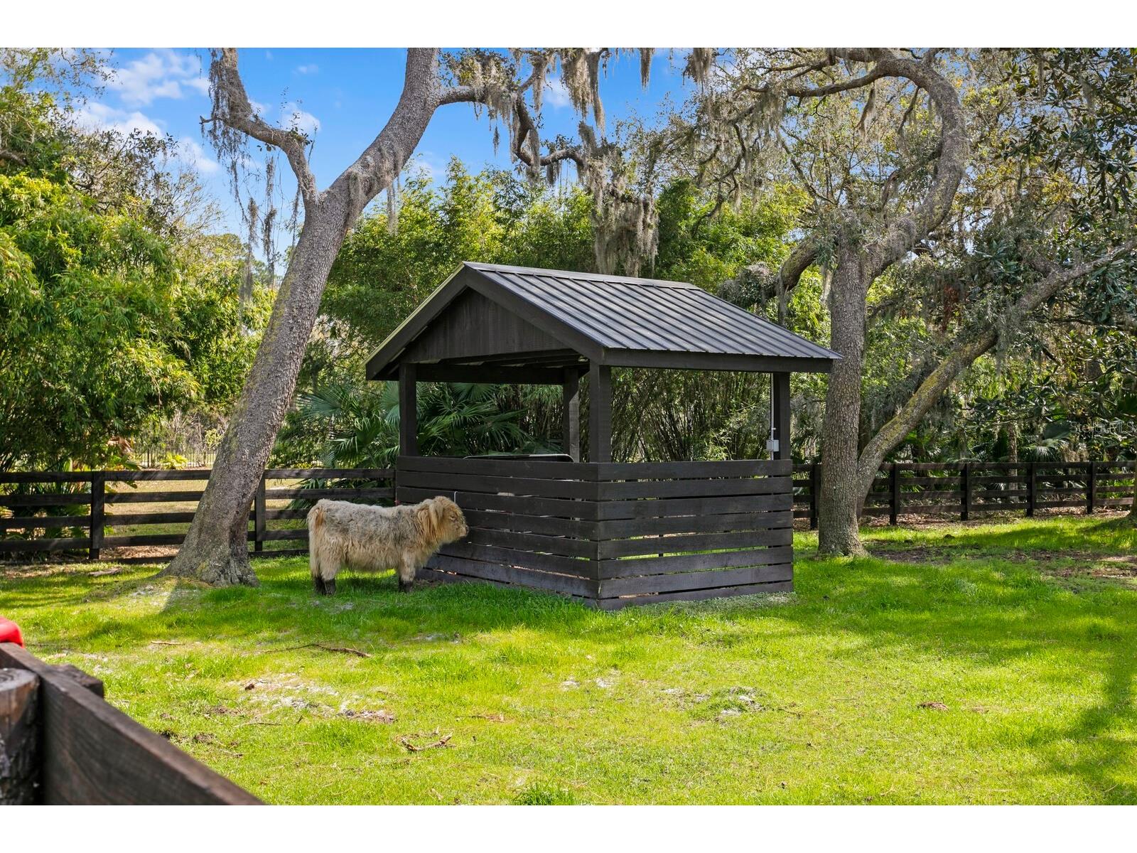 10101 Tarpon Springs Road Odessa FL 33556 TB8480407 image28