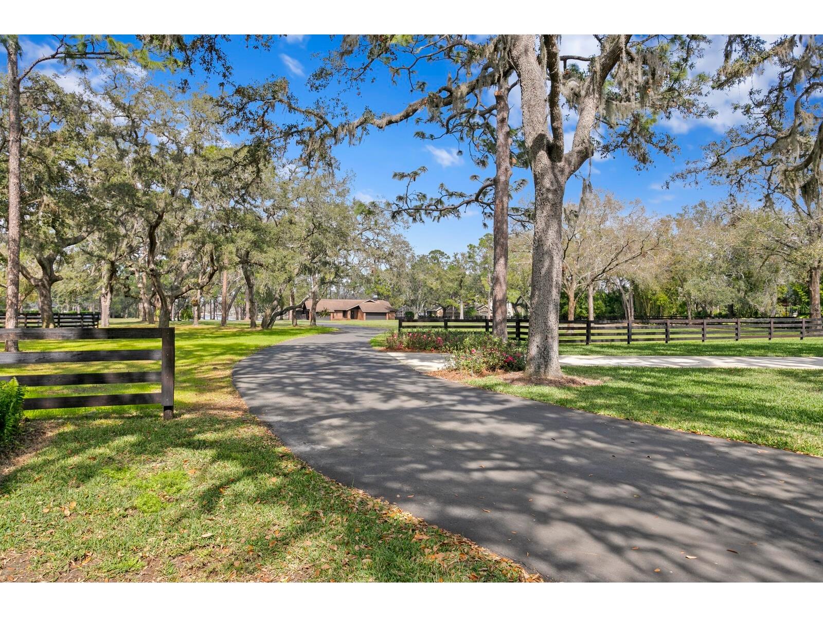 10101 Tarpon Springs Road Odessa FL 33556 TB8480407 image38