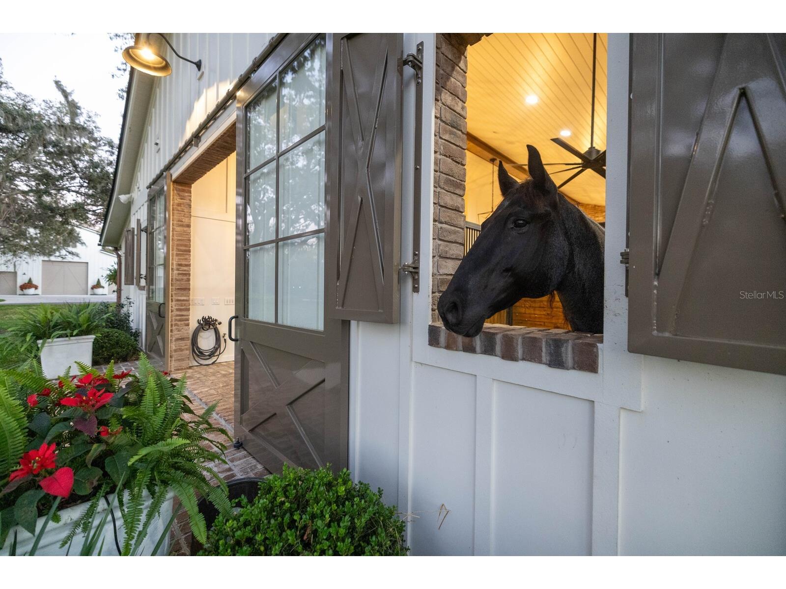 10101 Tarpon Springs Road Odessa FL 33556 TB8480407 image42