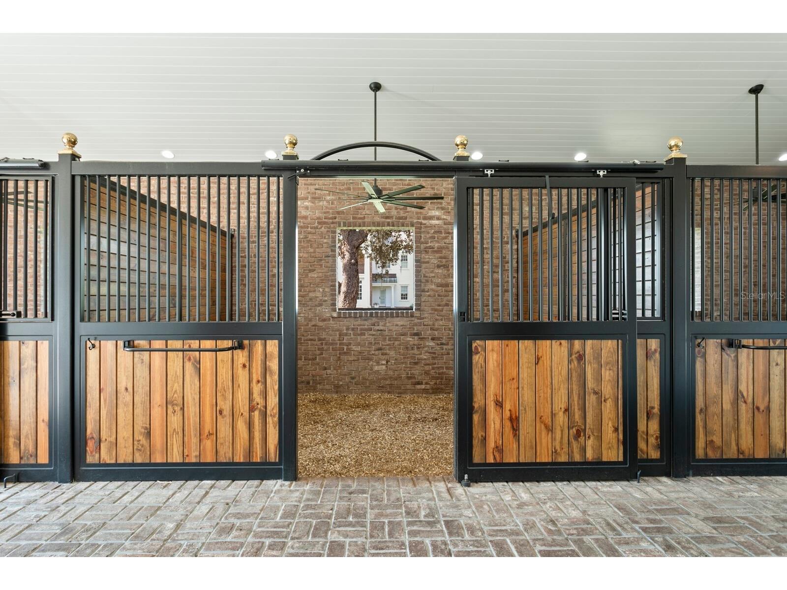 10101 Tarpon Springs Road Odessa FL 33556 TB8480407 image8